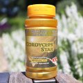 Cordyceps star